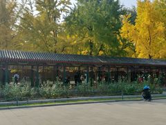 -首都电影院(金融街店 杜比全景声)