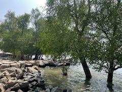 -宝安西湾红树林湿地公园