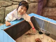 -沈阳海洋探索中心