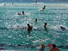 -重庆市奥林匹克体育中心-游泳跳水馆