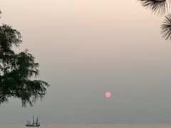 -苏州湾体育公园