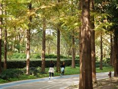 -苏州河梦清园环保主题公园