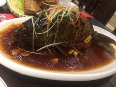 -津菜宋记老房子(鼓楼店)