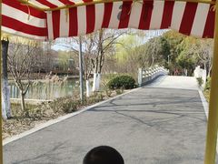 -昆山城市生态森林公园