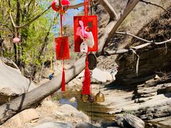 -黑龙潭风景区
