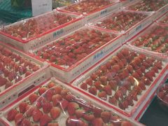 -叶氏兄弟(大连奥特莱斯店)