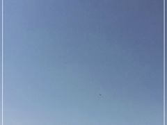 -白鹭湾湿地公园