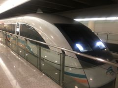 -龙阳路磁悬浮列车总站-停车场