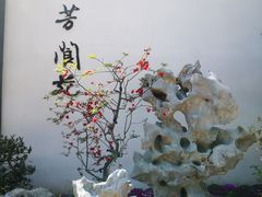 -莫愁湖公园