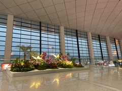-郑州新郑国际机场-T2航站楼