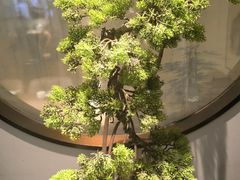 -豫丰汇河南名菜楼(武记餐饮)