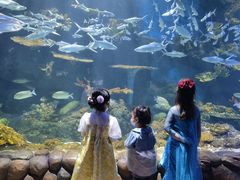 -华夏文旅西安度假区