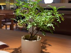 -CURRY YA 熟成咖哩專門店(深圳湾万象城店)
