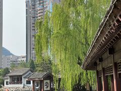 -团结湖公园