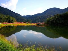 -广州市石门国家森林公园