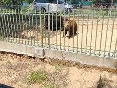 -秦皇岛野生动物园