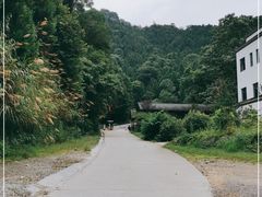 -祁门牯牛降观音堂风景区