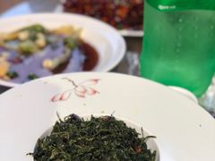 -午后庭院