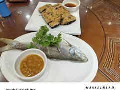 -长平肥姐白粥·海鲜打冷