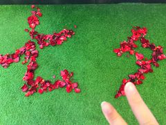 -Tiffany & Co.蒂芙尼
(南京德基广场店)