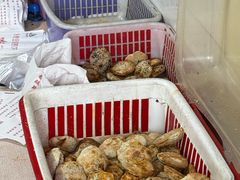 -金莲葱饼