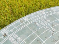 -艾米稻香小镇