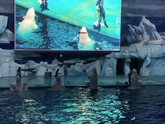 -福州罗源湾海洋世界旅游区