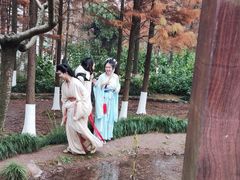 -重庆彩云湖湿地公园