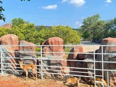 -牛鱼嘴原始生态风景区