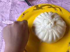 -陶然居·重庆菜(解放碑店)
