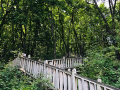 -帽儿山国家森林公园