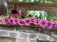 -园林美食城·本土农家菜(杨和镇店)