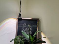 -本無咖啡·BeanWood Coffee