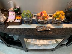 -虹桥机场国航贵宾室v8