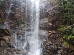 -九龙江国家森林公园