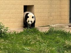 -石家庄市动物园