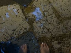 -湖泉半山温泉(湖泉生态园)