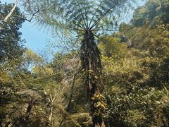 -赤水丹霞旅游区·佛光岩