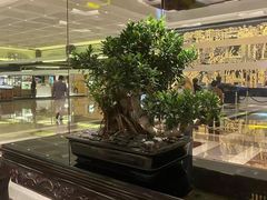 -广州花园酒店