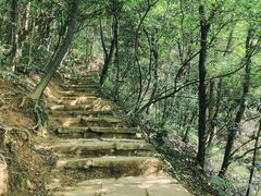 -杭州半山国家森林公园