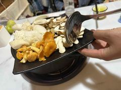 -蘑统田下·野生菌火锅