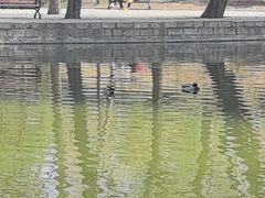 -团结湖公园