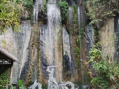 -西双版纳原始森林公园