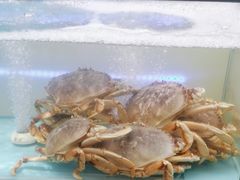 -同庆楼(滨湖万达广场店)