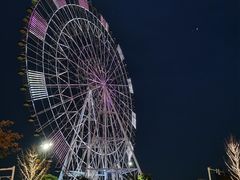 -南昌之星摩天轮