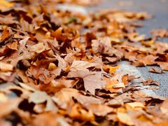 -河南省黄河迎宾馆