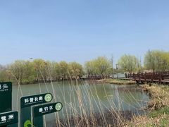 -长兴太湖图影湿地文化园
