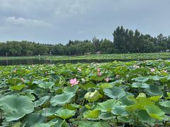 -沈阳市东陵公园