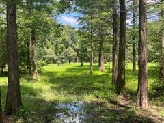 -蜀冈西峰生态公园