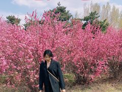 -长春公园(普阳街道)